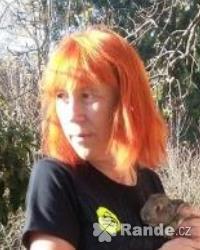 sex. Msto: Mlnk. Rok narozen: 1961 (58,4 let). Vka: 175cm. Posledn nvtva: 9.9.2019 8:35 - OFFLINE. Poet pihlen: 189 x. SMS-NICK: AVIATIK. Uivatel aviatik, mu, 58,4 let, Mlnk - seznamka sacicrm.info